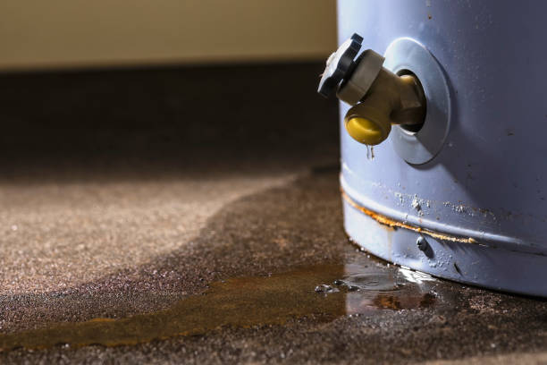 Best Water damage restoration cost  in Glenwood Springs, CO