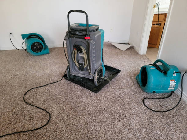 Best Emergency water damage restoration  in Glenwood Springs, CO
