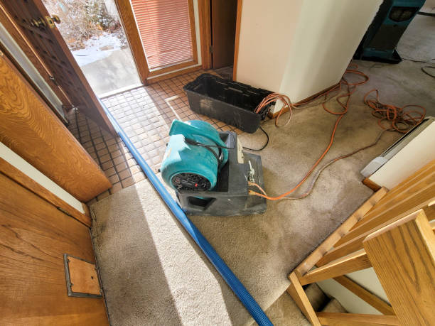  Glenwood Springs, CO Water damage restoration Pros