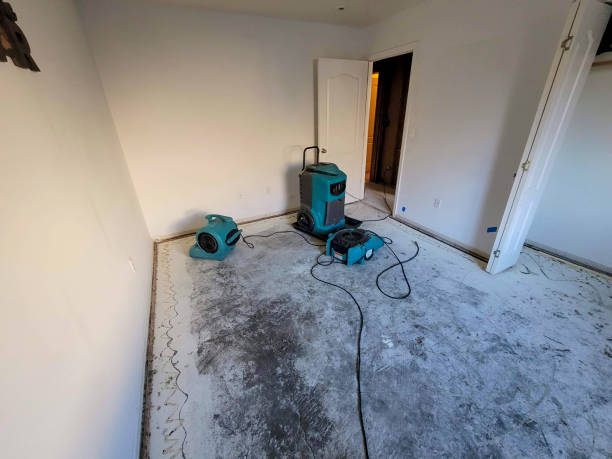 Best Local water damage restoration  in Glenwood Springs, CO