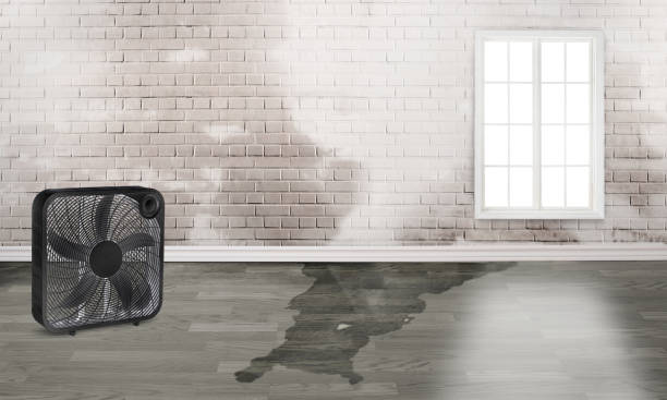 Best Sewage cleanup and water damage restoration  in Glenwood Springs, CO