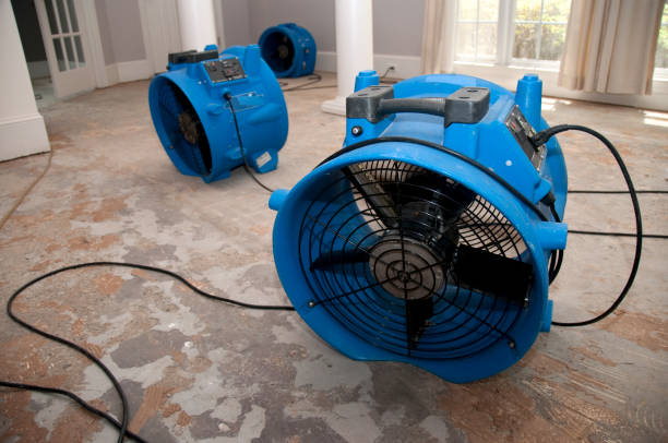 Best Fire Damage Restoration  in Glenwood Springs, CO