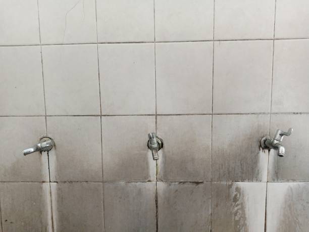 , CO Water damage restoration Company