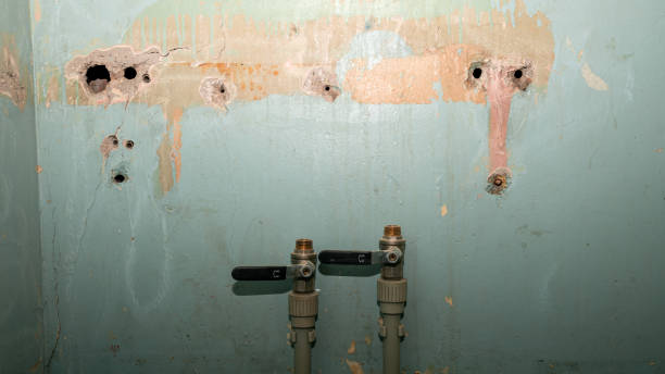Best Commercial water damage restoration  in Glenwood Springs, CO