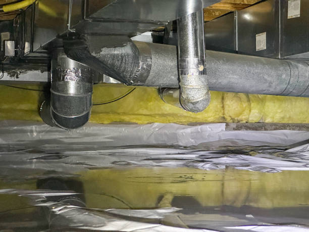 Best Carpet water damage restoration  in Glenwood Springs, CO