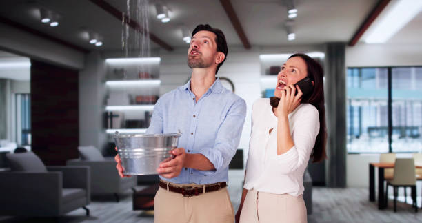 Best Sewage cleanup and water damage restoration  in Glenwood Springs, CO
